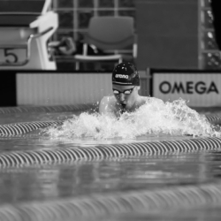 alfoldizoltan_referenciak_6